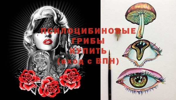 твердый Алексеевка