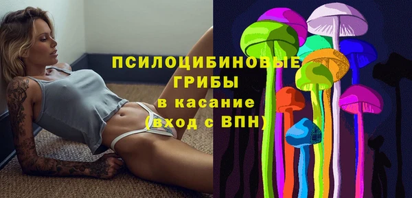 ПСИЛОЦИБИНОВЫЕ ГРИБЫ Алексин