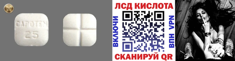 мега онион  купить наркоту  Каменка  Лсд 25 экстази кислота 