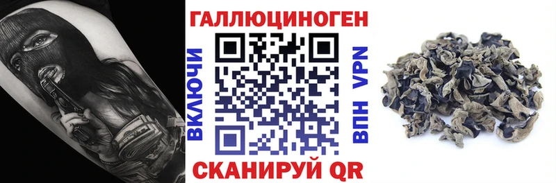 KRAKEN ТОР  Каменка  Псилоцибиновые грибы MAGIC MUSHROOMS 